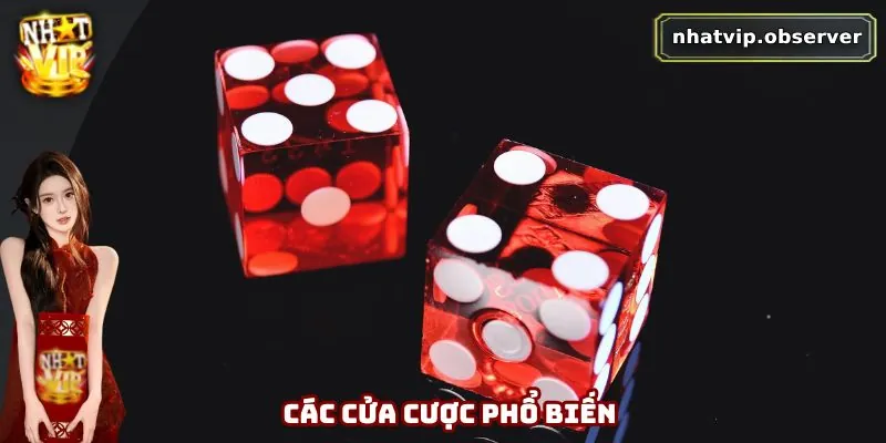 Tài Xỉu Online – Hướng Dẫn Cách Chơi Và Mẹo Thắng Lớn Tại Nhatvip Các cửa cược phổ biến