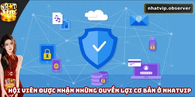 Quyền Riêng Tư Nhatvip - Cập Nhật Chính Sách Mới Nhất 2026 Hội viên được nhận những quyền lợi cơ bản ở Nhatvip